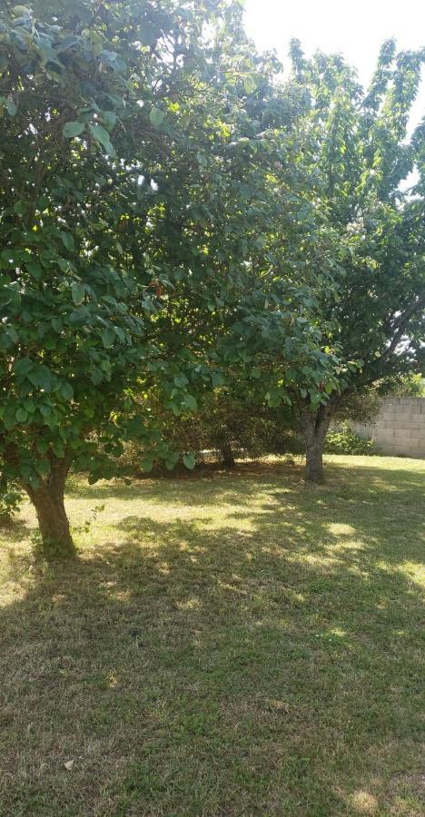 Ferienwohnung Chambre Zen A La Campagne Marennes  Exterior foto