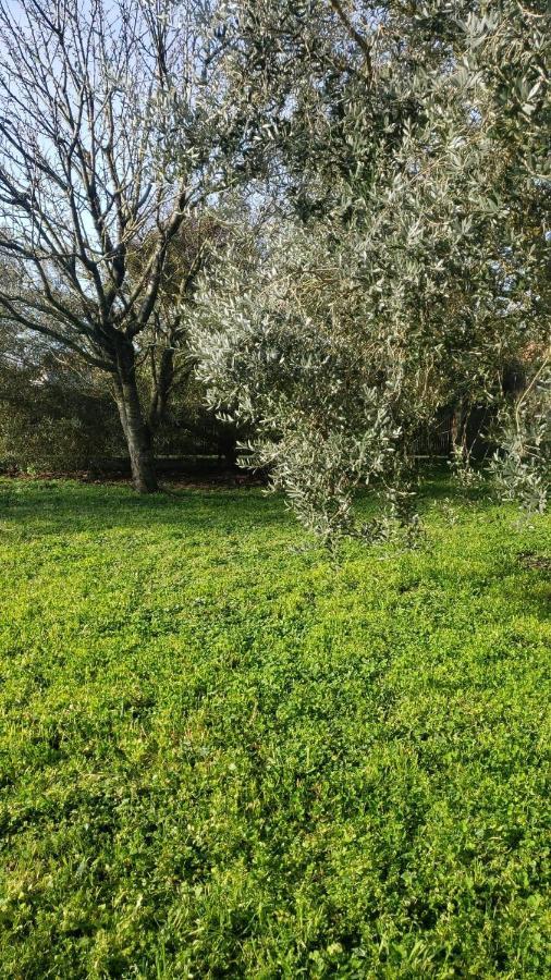 Ferienwohnung Chambre Zen A La Campagne Marennes  Exterior foto